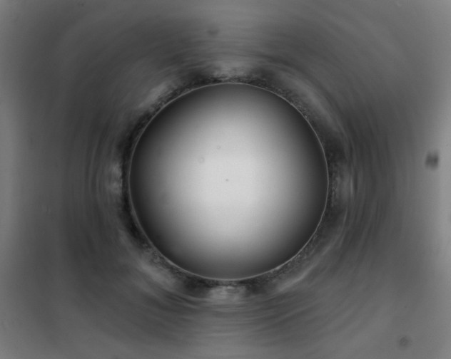 X0000102280700200807251358