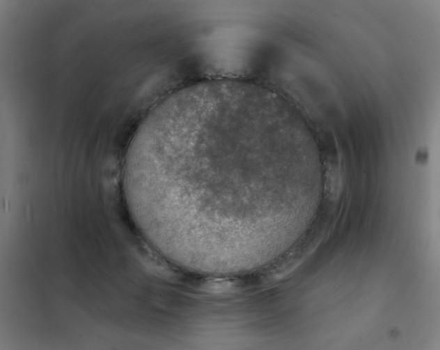 X0000102280701200807251358