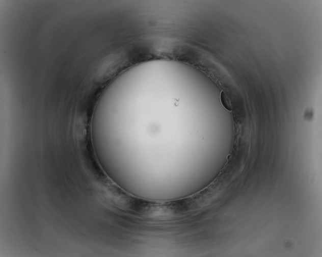 X0000102280702200807251358