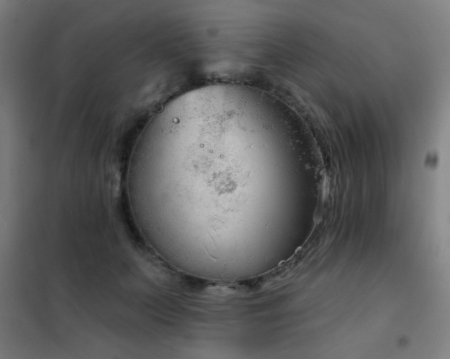 X0000102280703200807251358