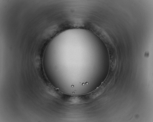 X0000102280704200807251358