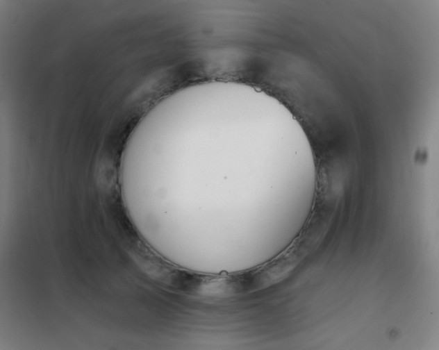 X0000102280705200807251358