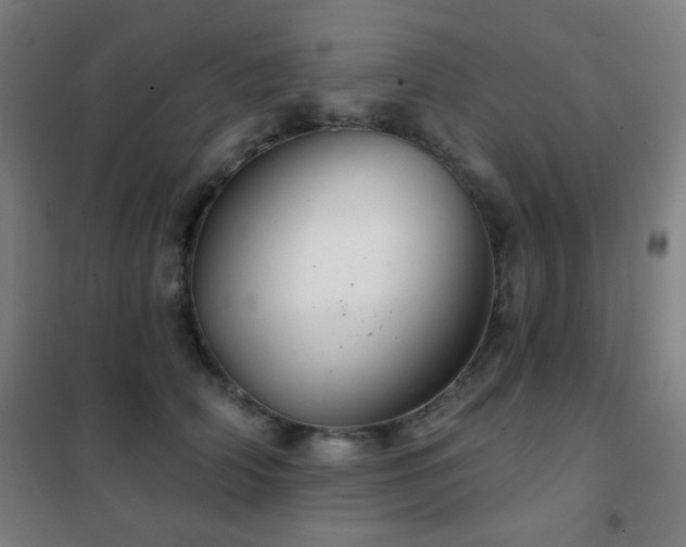 X0000102280706200807251358