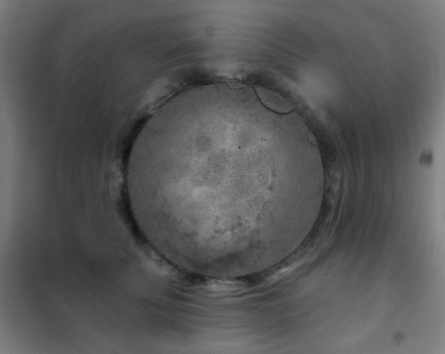 X0000102280707200807251358