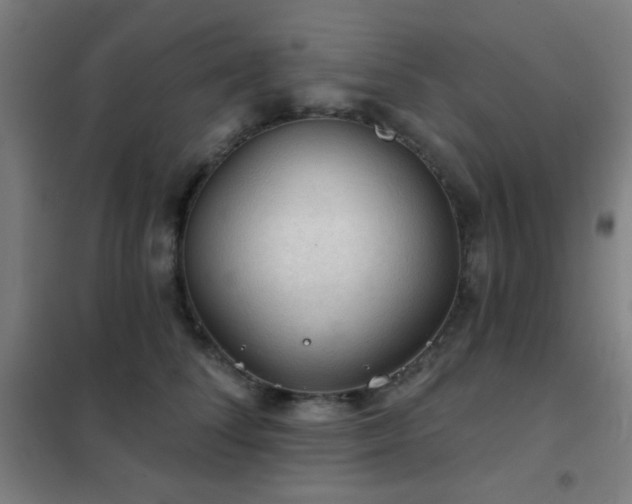 X0000102280708200807251358