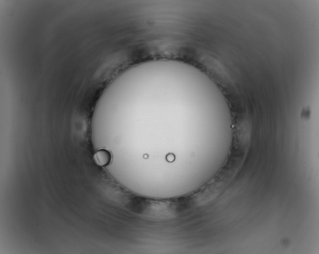 X0000102280709200807251358