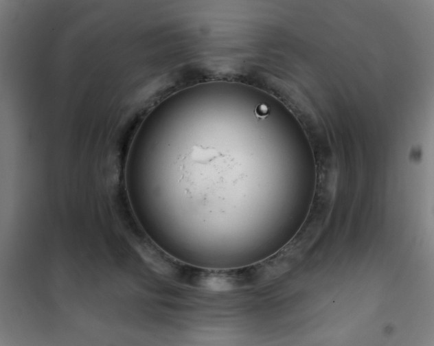 X0000102280710200807251358