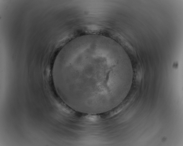 X0000102280711200807251358