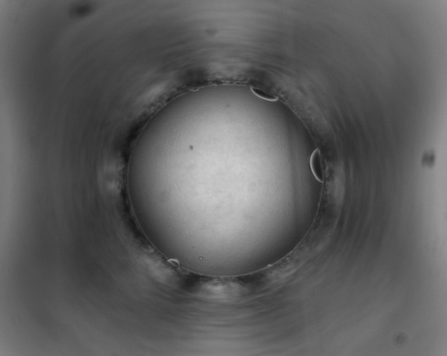 X0000102280712200807251358