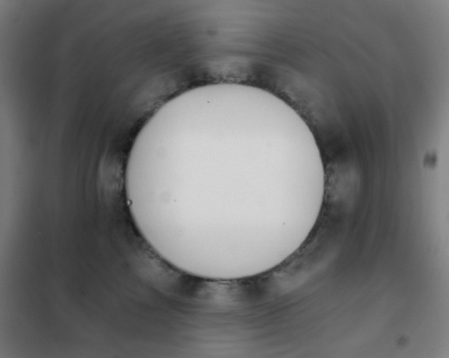 X0000102280713200807251358
