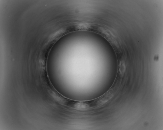 X0000102280714200807251358
