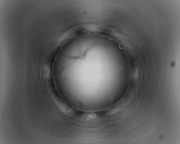 X0000102280715200807251358