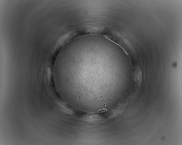 X0000102280716200807251358