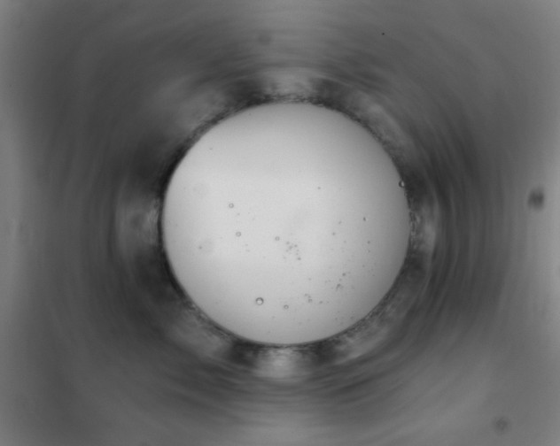 X0000102280717200807251358