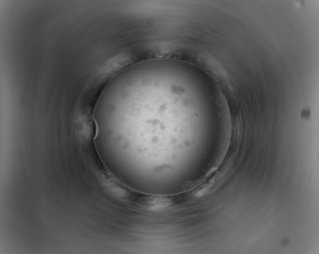 X0000102280719200807251358