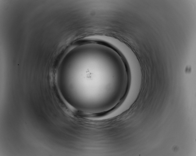 X0000102280720200807251358