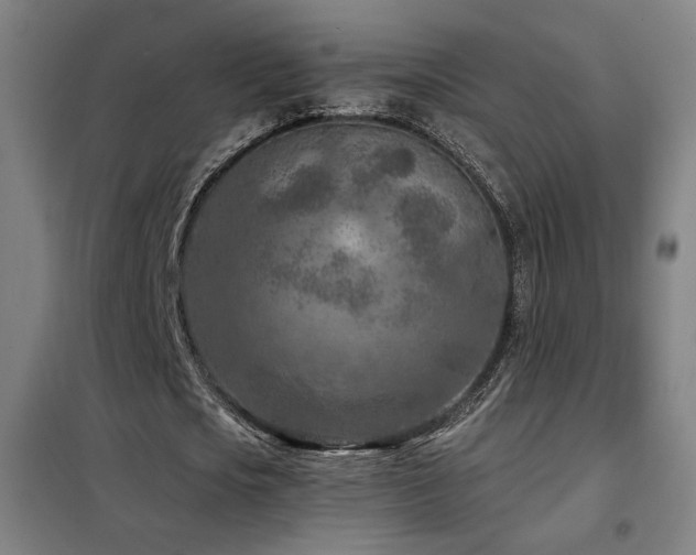 X0000102280721200807251357