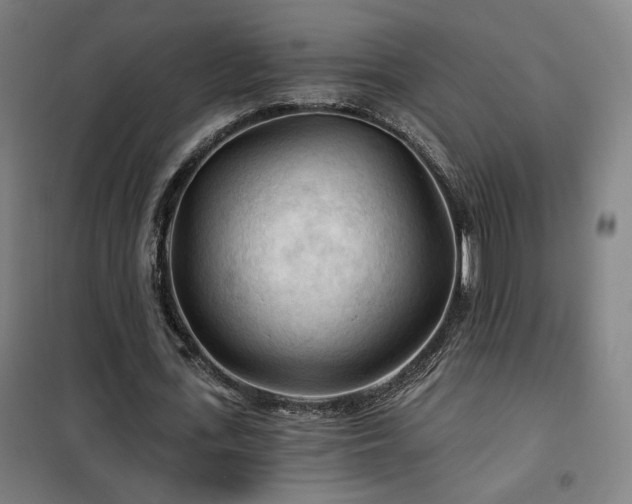 X0000102280723200807251357