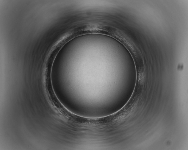 X0000102280724200807251357