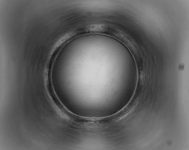 X0000102280725200807251357