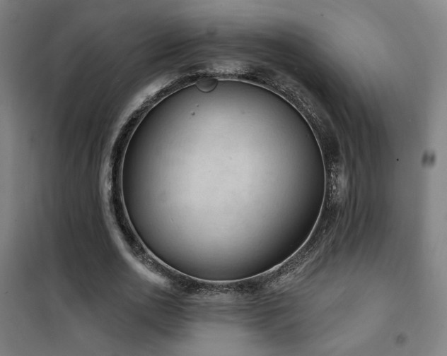 X0000102280726200807251357