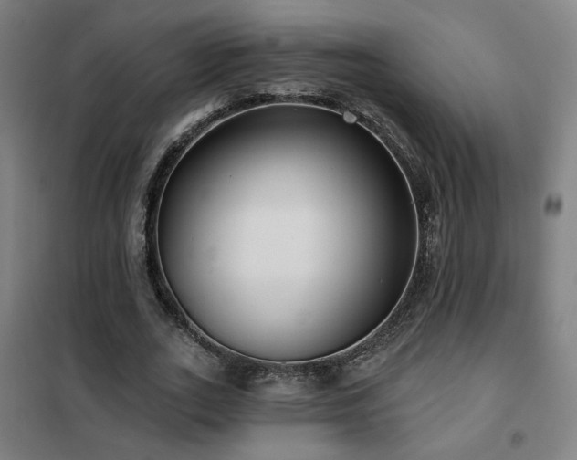 X0000102280727200807251357