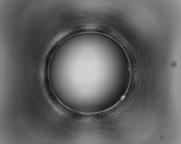 X0000102280728200807251357