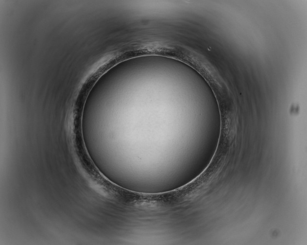 X0000102280730200807251358