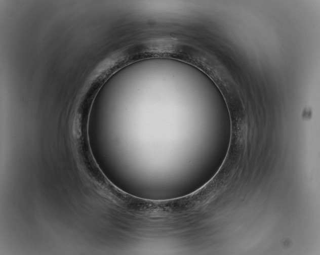 X0000102280731200807251358