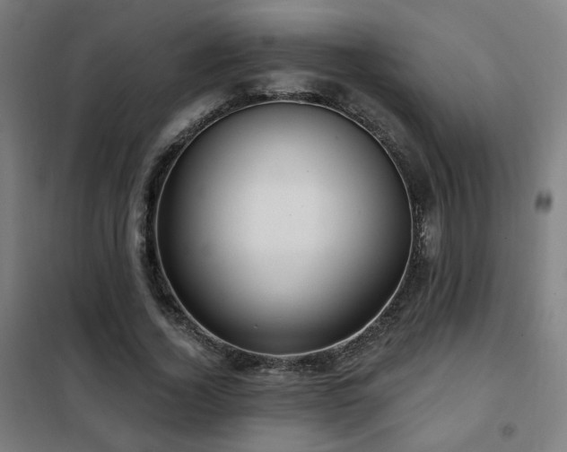 X0000102280732200807251358