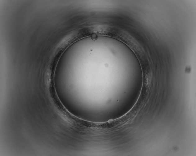 X0000102280733200807251358