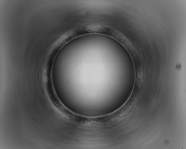 X0000102280734200807251358