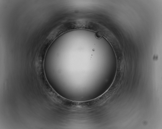 X0000102280737200807251358