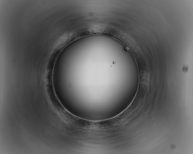 X0000102280738200807251358