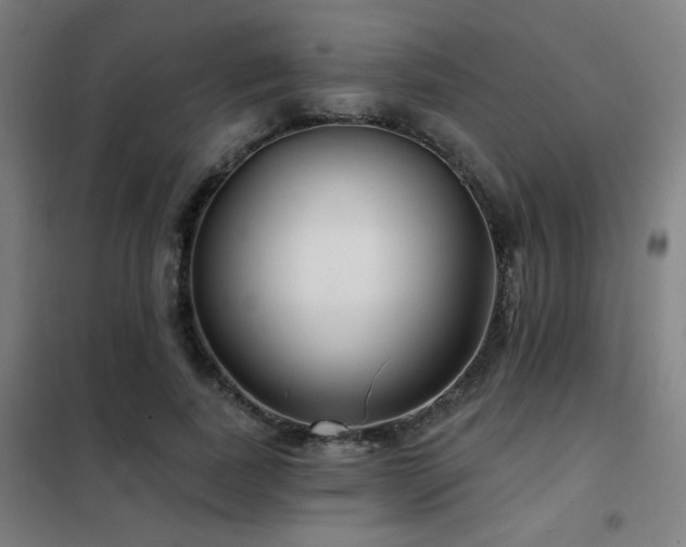 X0000102280739200807251358