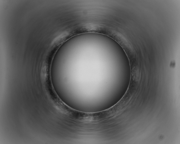 X0000102280740200807251358