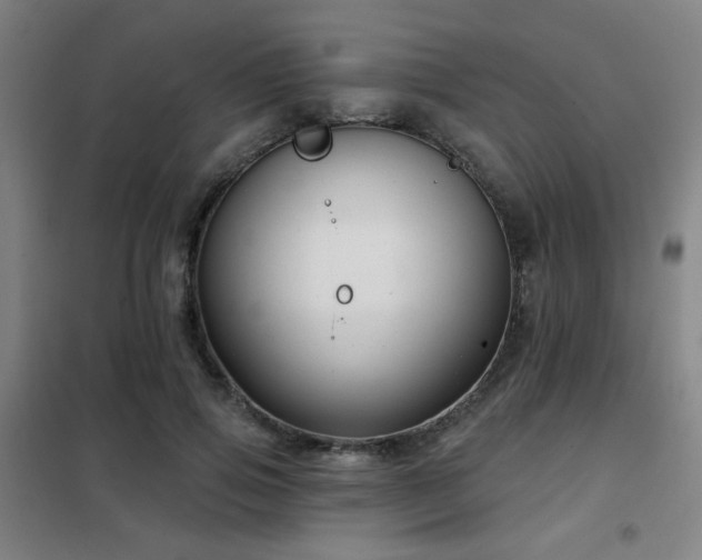 X0000102280741200807251358
