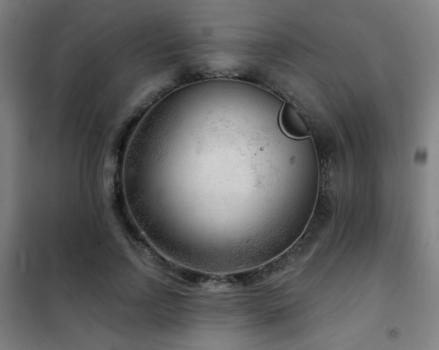 X0000102280742200807251358
