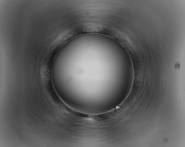 X0000102280743200807251358