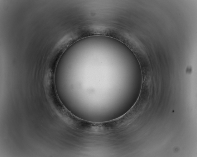 X0000102280744200807251358