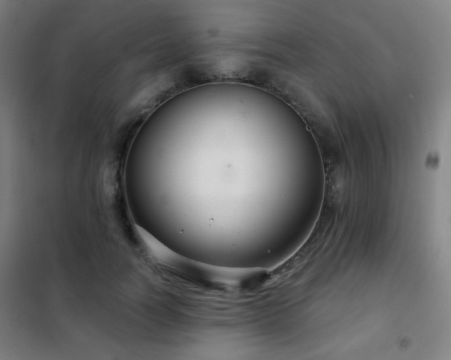 X0000102280746200807251358