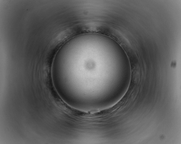 X0000102280747200807251358