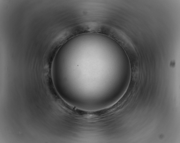 X0000102280748200807251358