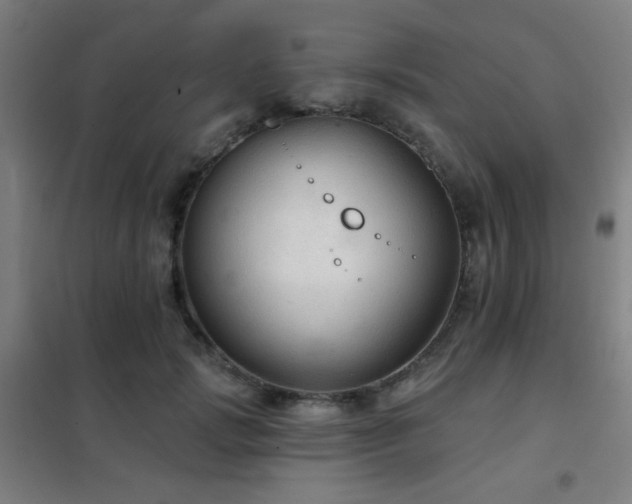 X0000102280749200807251358