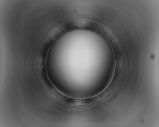 X0000102280750200807251358