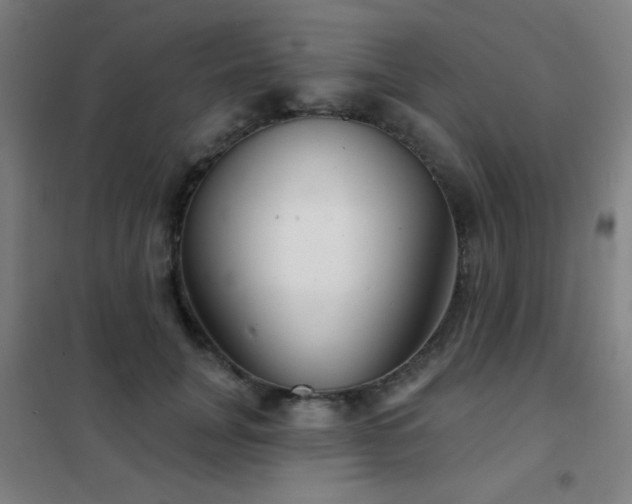 X0000102280751200807251358