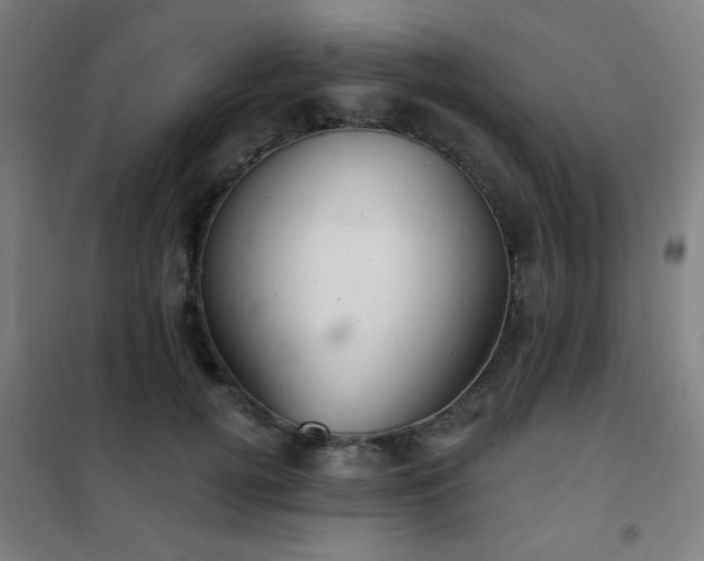 X0000102280752200807251358