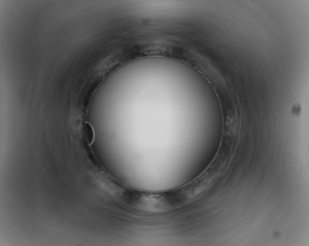 X0000102280753200807251358