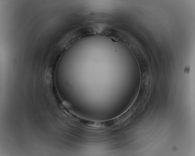 X0000102280754200807251358