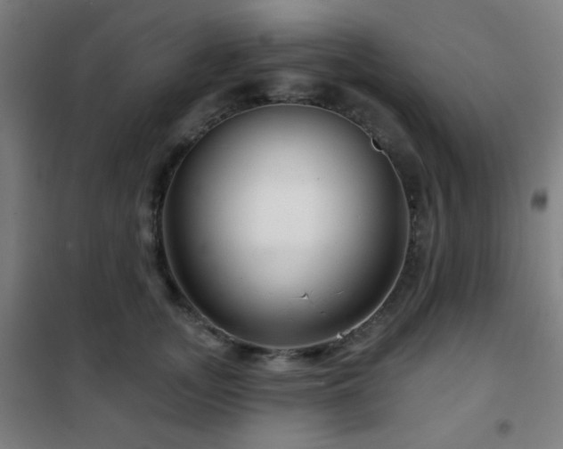 X0000102280755200807251358
